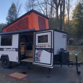 Review photo of Davidson River Campground by Lindsay W., November 24, 2020