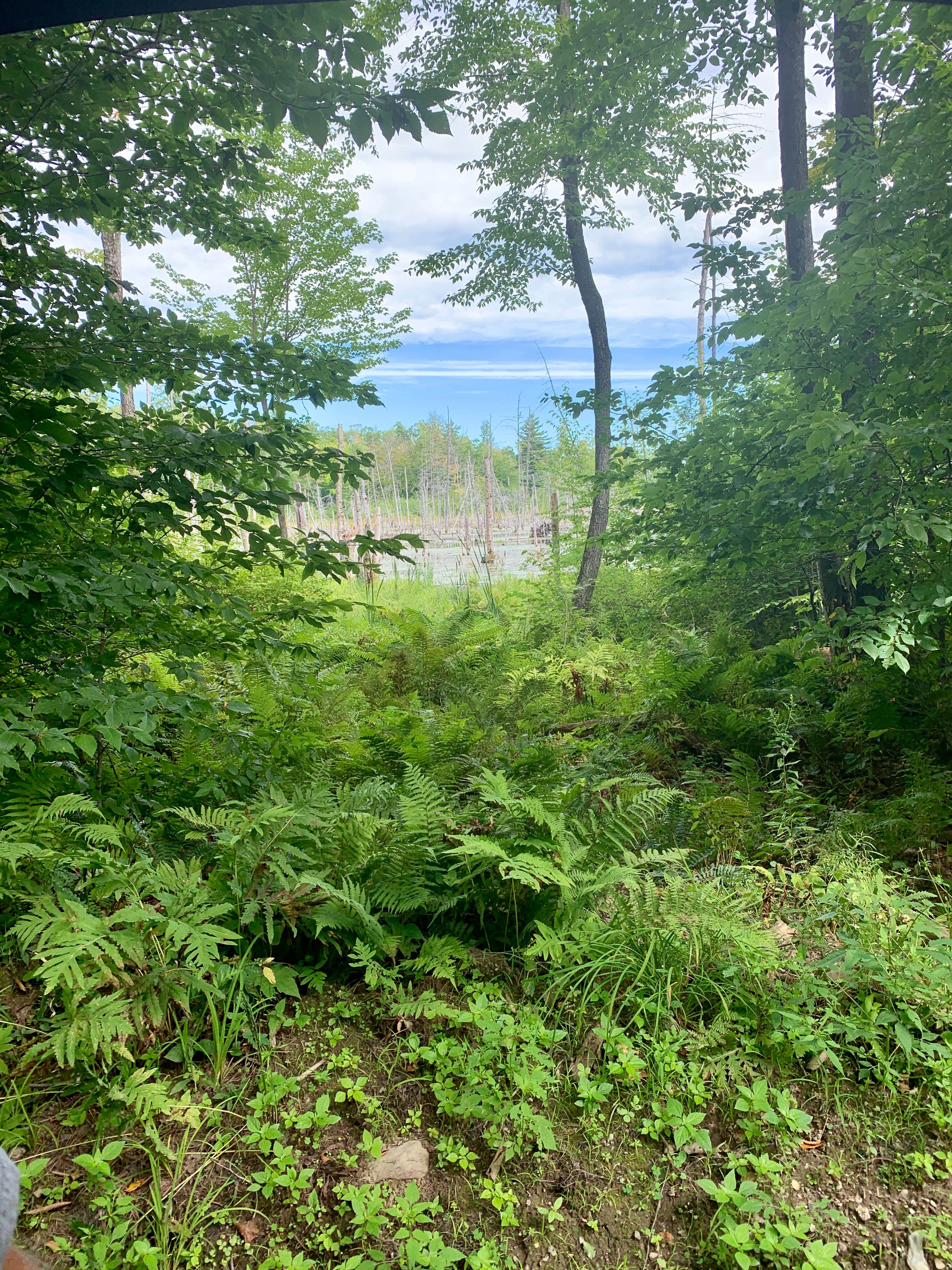 Camper-submitted photo at Slateville Secluded Campsites near Poultney, VT