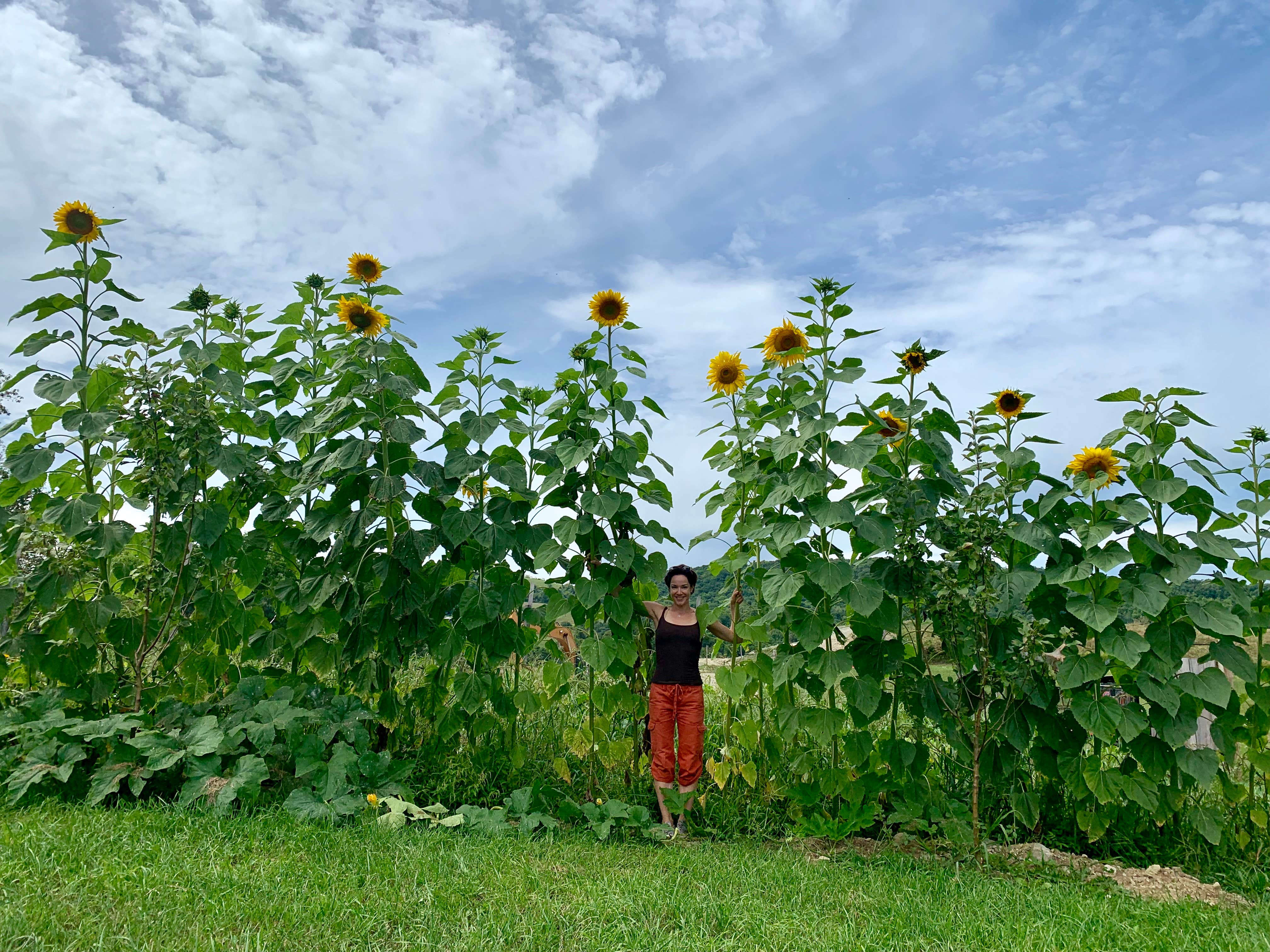 Camper-submitted photo at Slateville Secluded Campsites near Poultney, VT