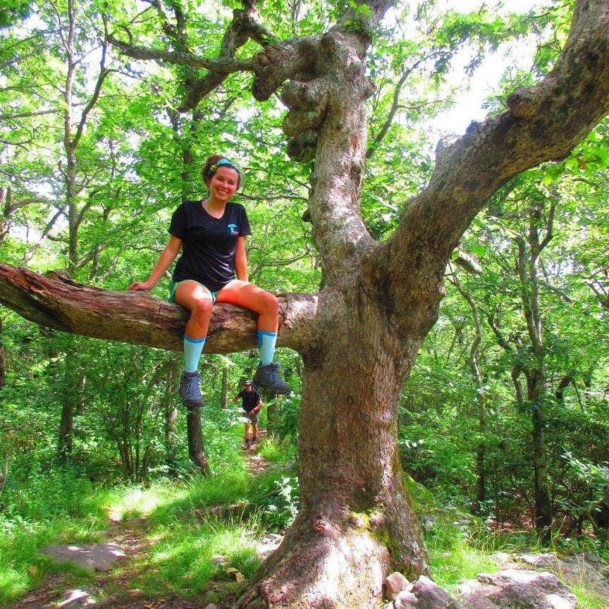 Camper-submitted photo at Springer Mountain Shelter near Murrayville, GA