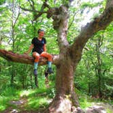 Review photo of Springer Mountain Shelter by Maria A., May 24, 2018