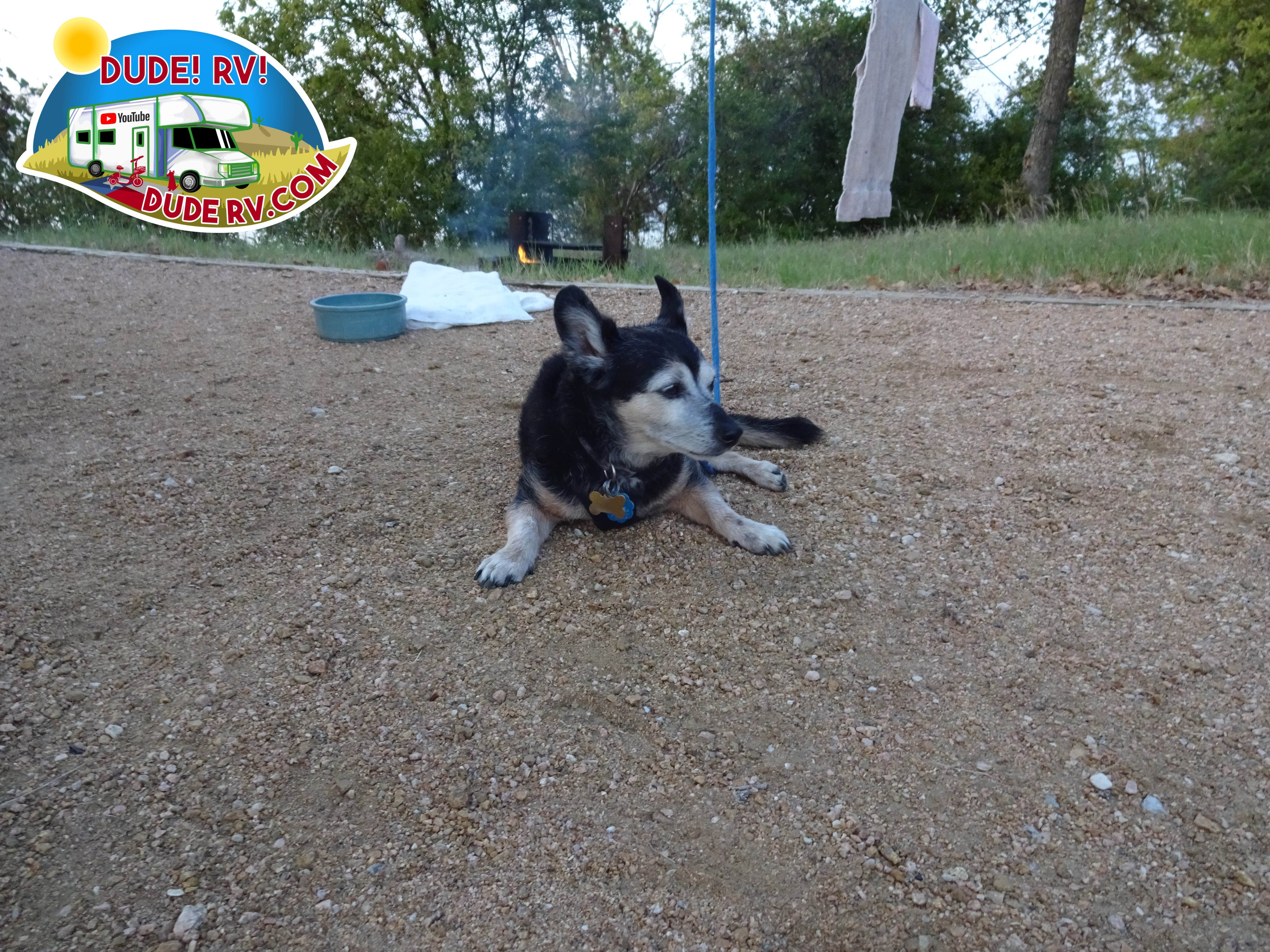 Dude R.'s photo of camping with pets at Liberty Hill Park Campground near Navarro Mills Lake