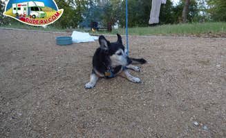 Dude R.'s photo of camping with pets at Liberty Hill Park Campground near Navarro Mills Lake