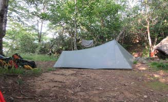 Maria A.'s photo of tent camping at Blood Mountain Shelter on the Appalachian Trail near Culberson, NC
