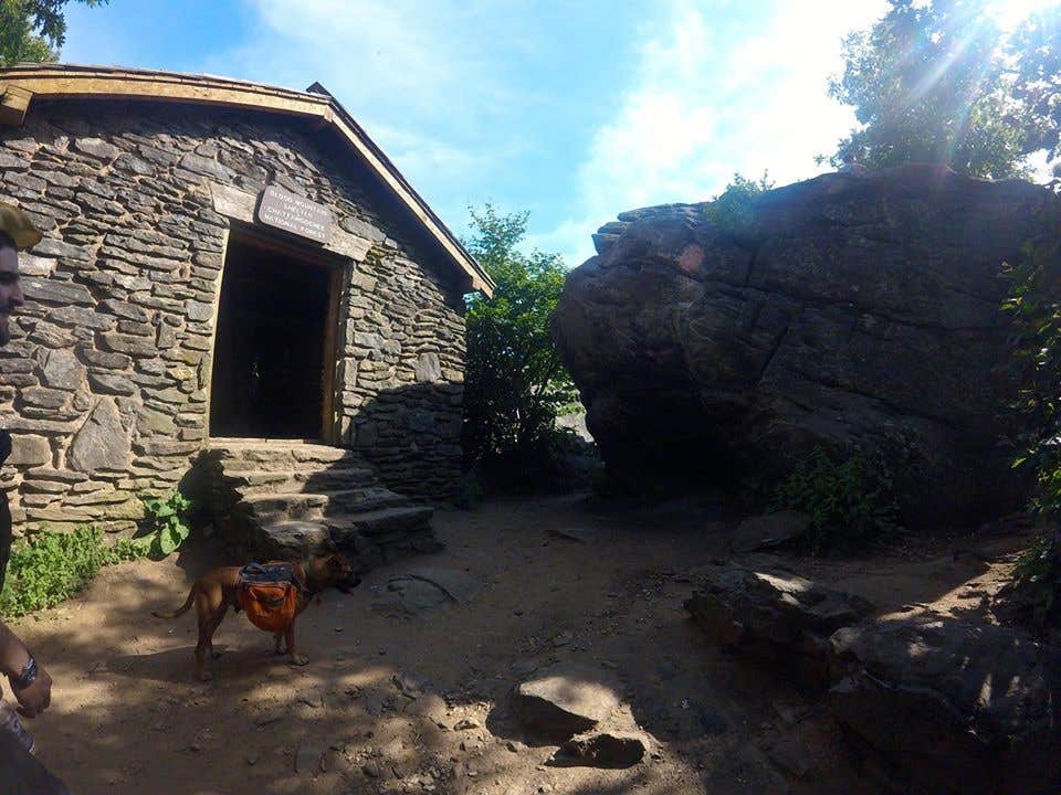 Camper submitted image from Blood Mountain Shelter on the Appalachian Trail - 5