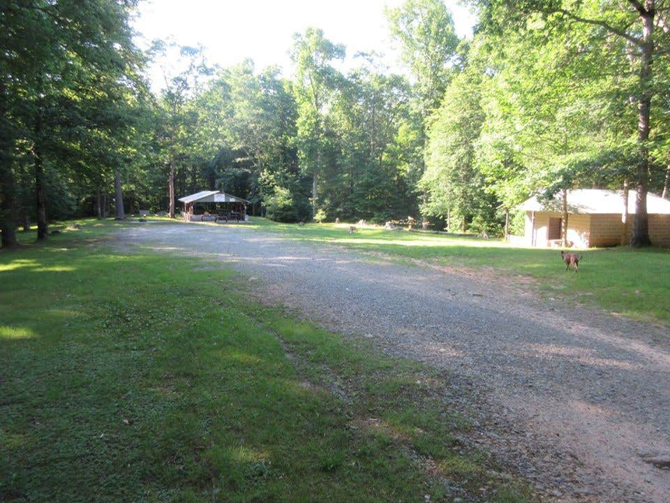 Camper submitted image from Hickory Flatts Cemetery - 2