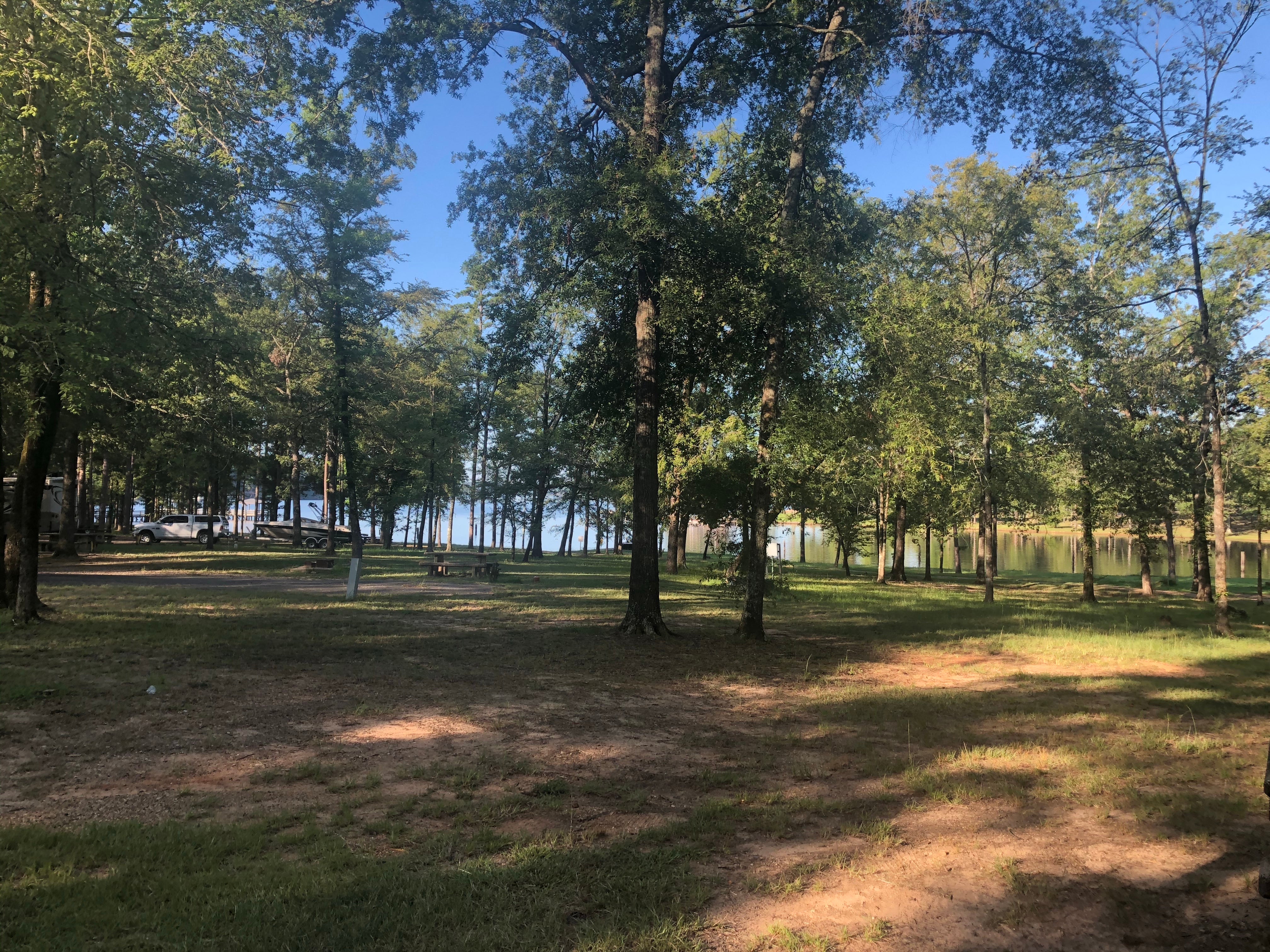 Camper submitted image from Cypress Black Bayou Recreation Area - 2