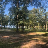 Review photo of Cypress Black Bayou Recreation Area by Larry , November 20, 2020
