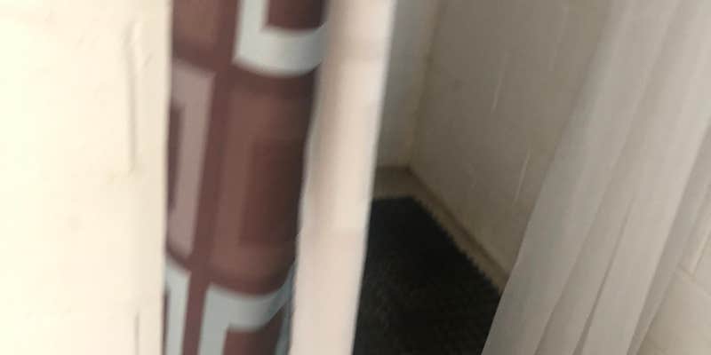 Camper submitted image from Albert the Bull Campground