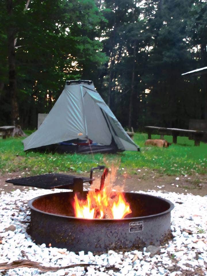 Camper submitted image from Hickory Flatts Cemetery - 1