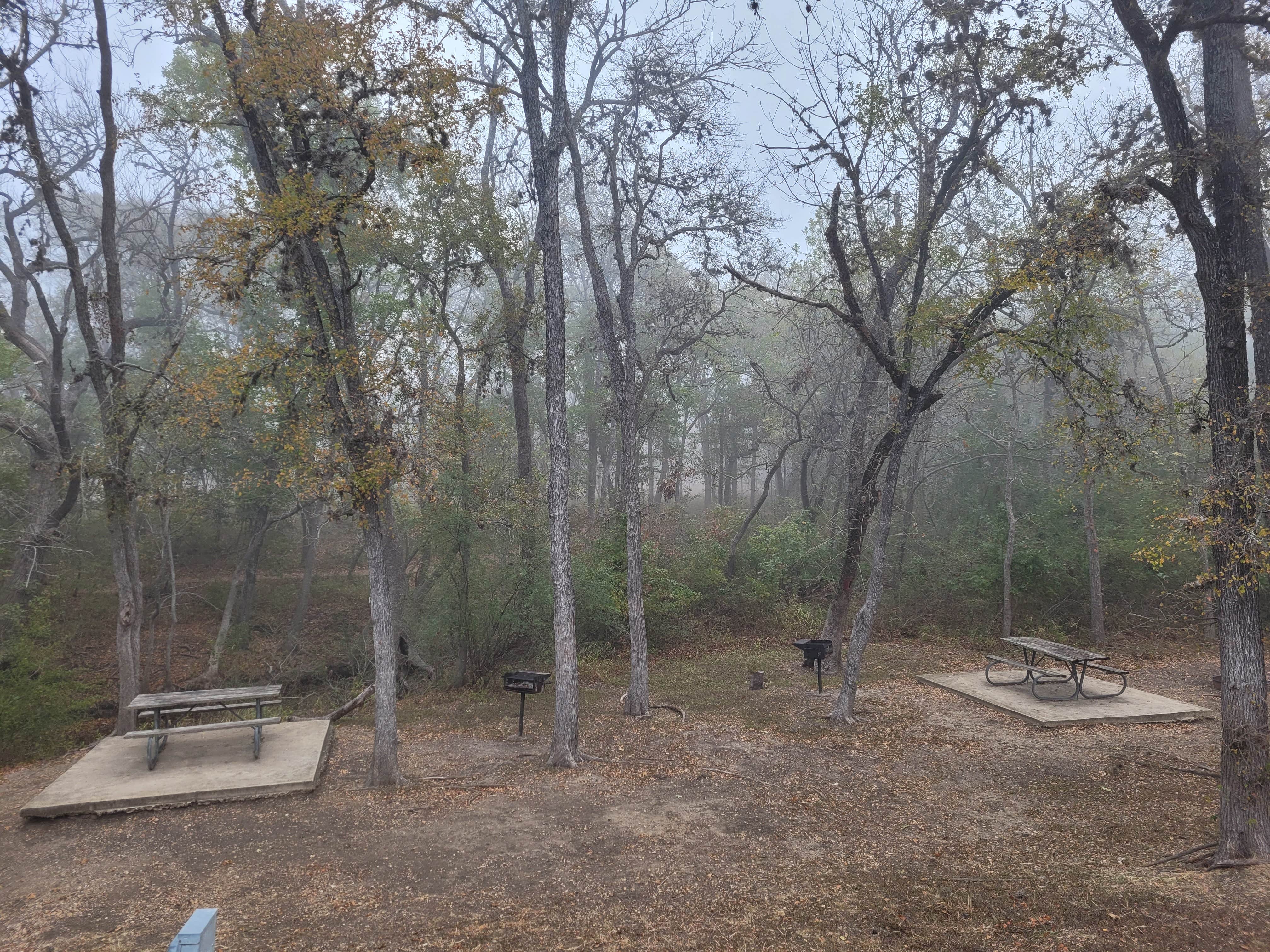 Camper-submitted photo at Lockhart State Park Campground near Smithville, TX