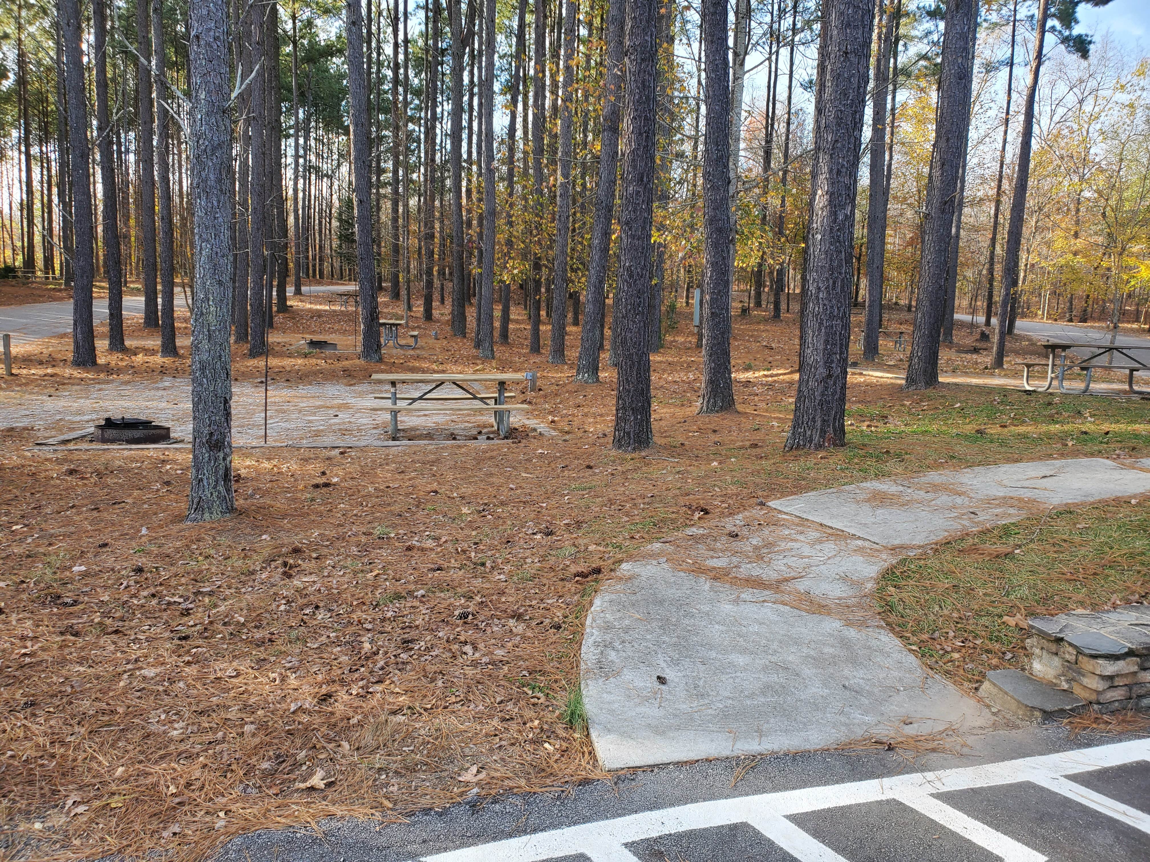 Camper-submitted photo at Little Tallapoosa Park near Douglasville, GA