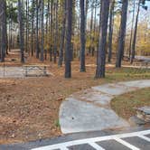 Review photo of Little Tallapoosa Park by Danna D., November 24, 2020