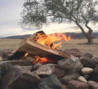 Camper-submitted photo from Corvina Beach Campground — Salton Sea State Recreation Area