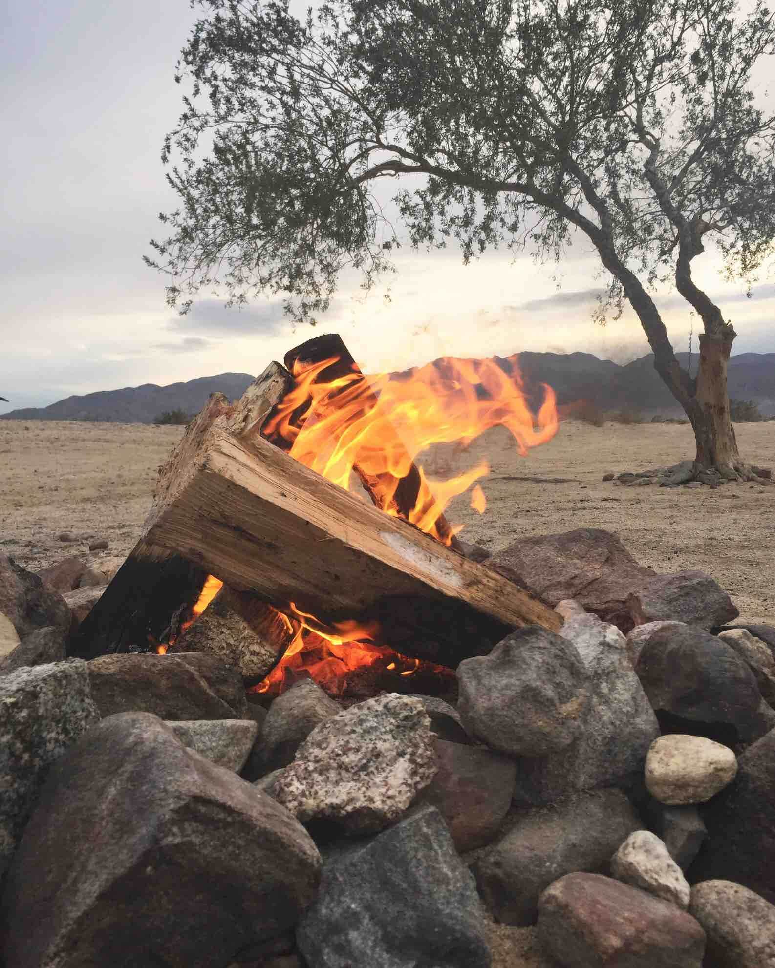 Camper submitted image from Ocotillo Wells State Vehicular Recreation Area - 3