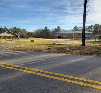 Camper-submitted photo from Little Tallapoosa Park