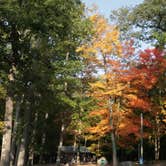 Review photo of Coopers Rock State Forest by Kevin H., November 25, 2020