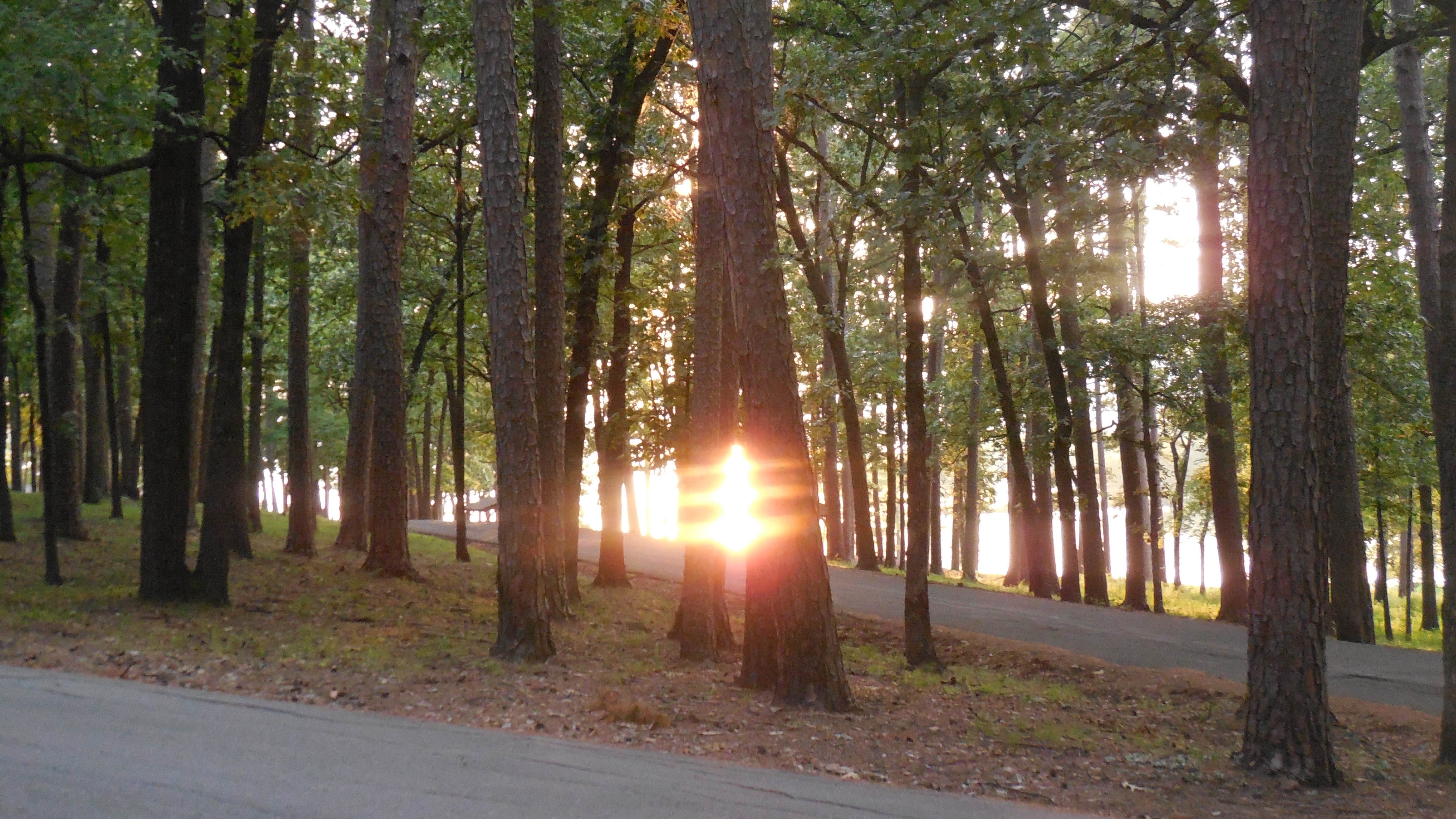 Camper-submitted photo at Waveland Park near Paris, AR