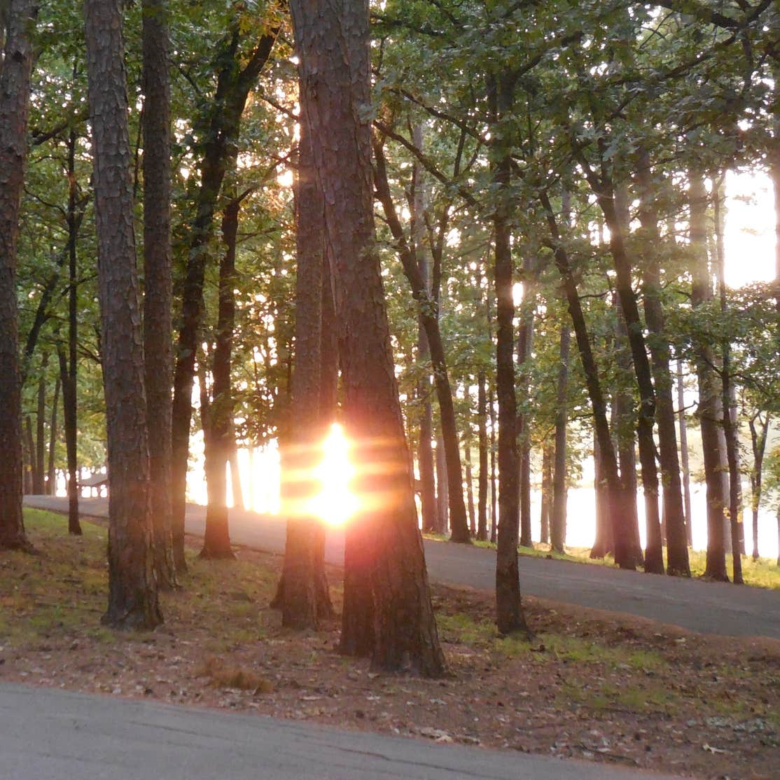 Waveland Park Camping The Dyrt