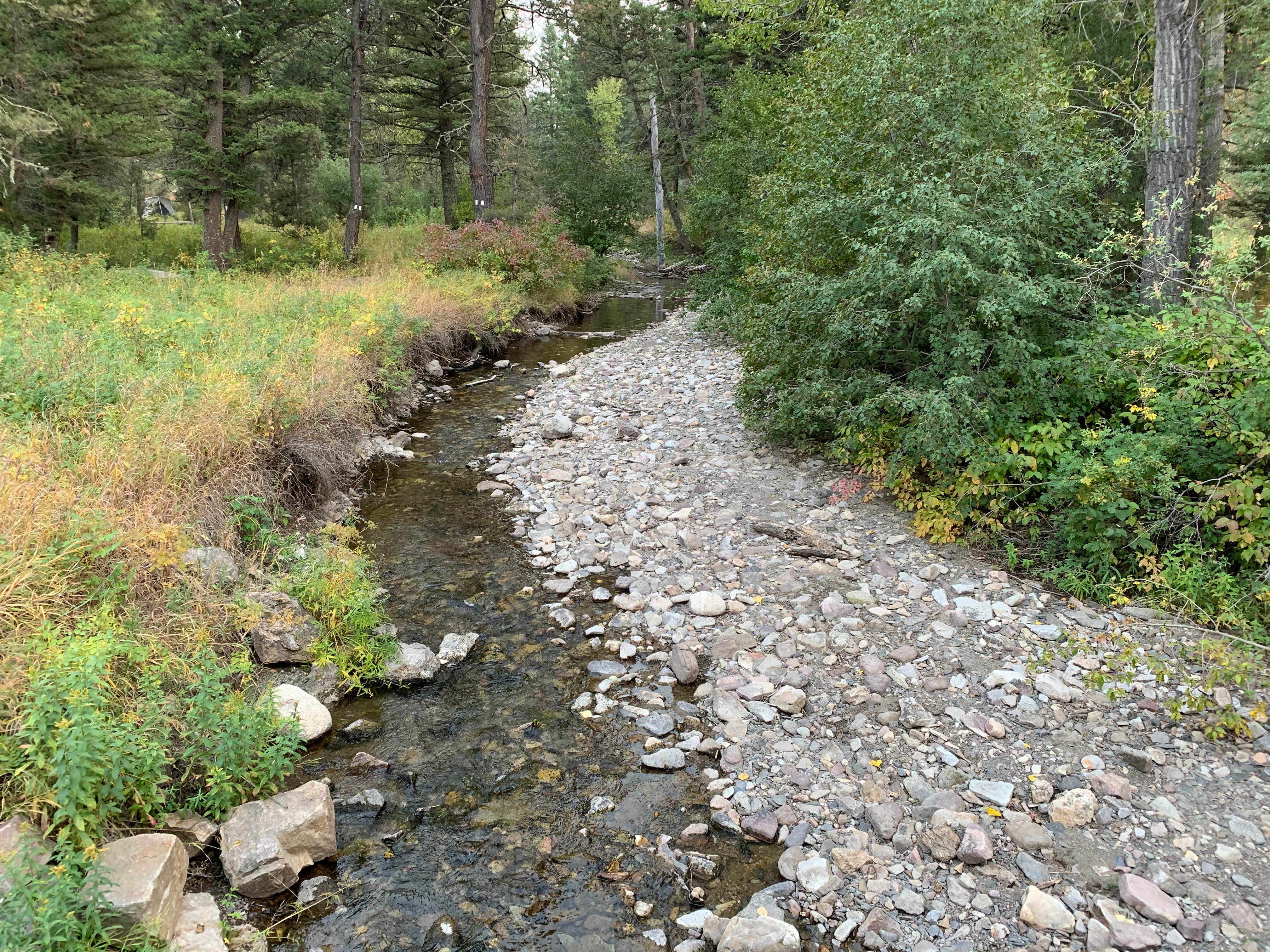 Camper submitted image from Spring Creek - 4