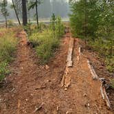 Review photo of Seeley Lake Lolo Campground (MT) — Lolo National Forest by Judy T., November 25, 2020