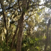 Review photo of Skidaway Island State Park Campground by L O., November 14, 2020