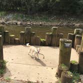 Review photo of Old Orchard Campground — Beech Fork State Park by Lisa R., May 24, 2018