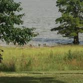 Review photo of North Abutment by Amanda  F., July 11, 2016