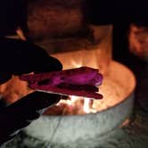 Review photo of Skidaway Island State Park Campground by L O., November 14, 2020
