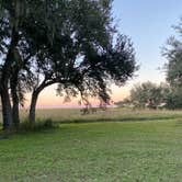 Review photo of Kilpatrick Hammock Campground — Kissimmee Prairie Preserve State Park by Monte W., November 25, 2020