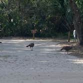 Review photo of Kilpatrick Hammock Campground — Kissimmee Prairie Preserve State Park by Monte W., November 25, 2020