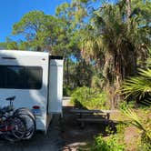 Review photo of Oscar Scherer State Park Campground by Paul , November 26, 2020