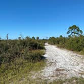 Review photo of Oscar Scherer State Park Campground by Paul , November 26, 2020
