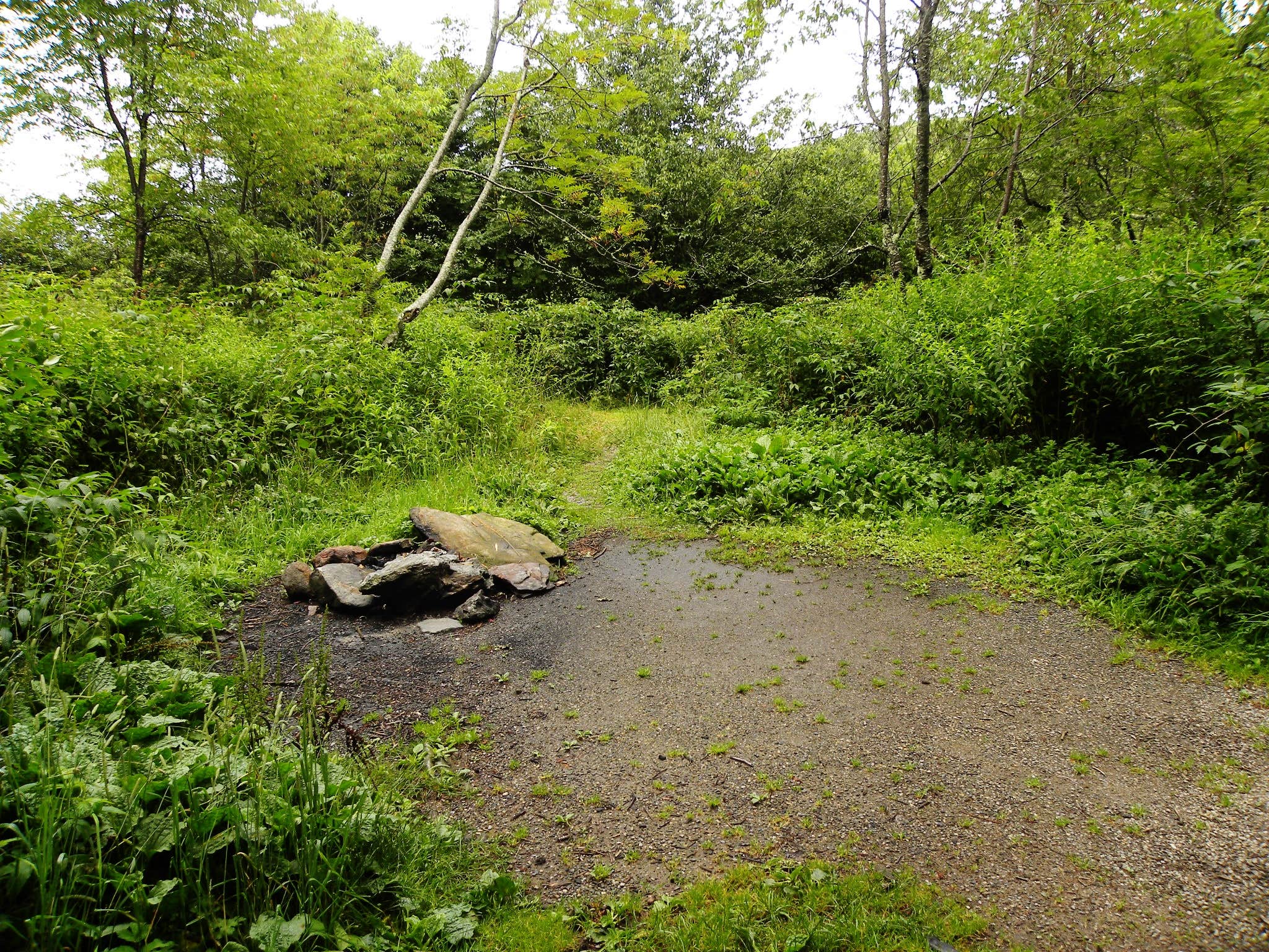 Camper-submitted photo at Black Balsam Knob - Dispersed Camping near Glendale, SC