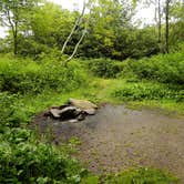 Review photo of Black Balsam Knob - Dispersed Camping by Myron C., November 5, 2020