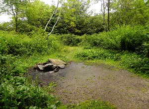 Black Balsam Knob - Dispersed Camping