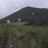 Review photo of Black Balsam Knob - Dispersed Camping by Myron C., November 5, 2020