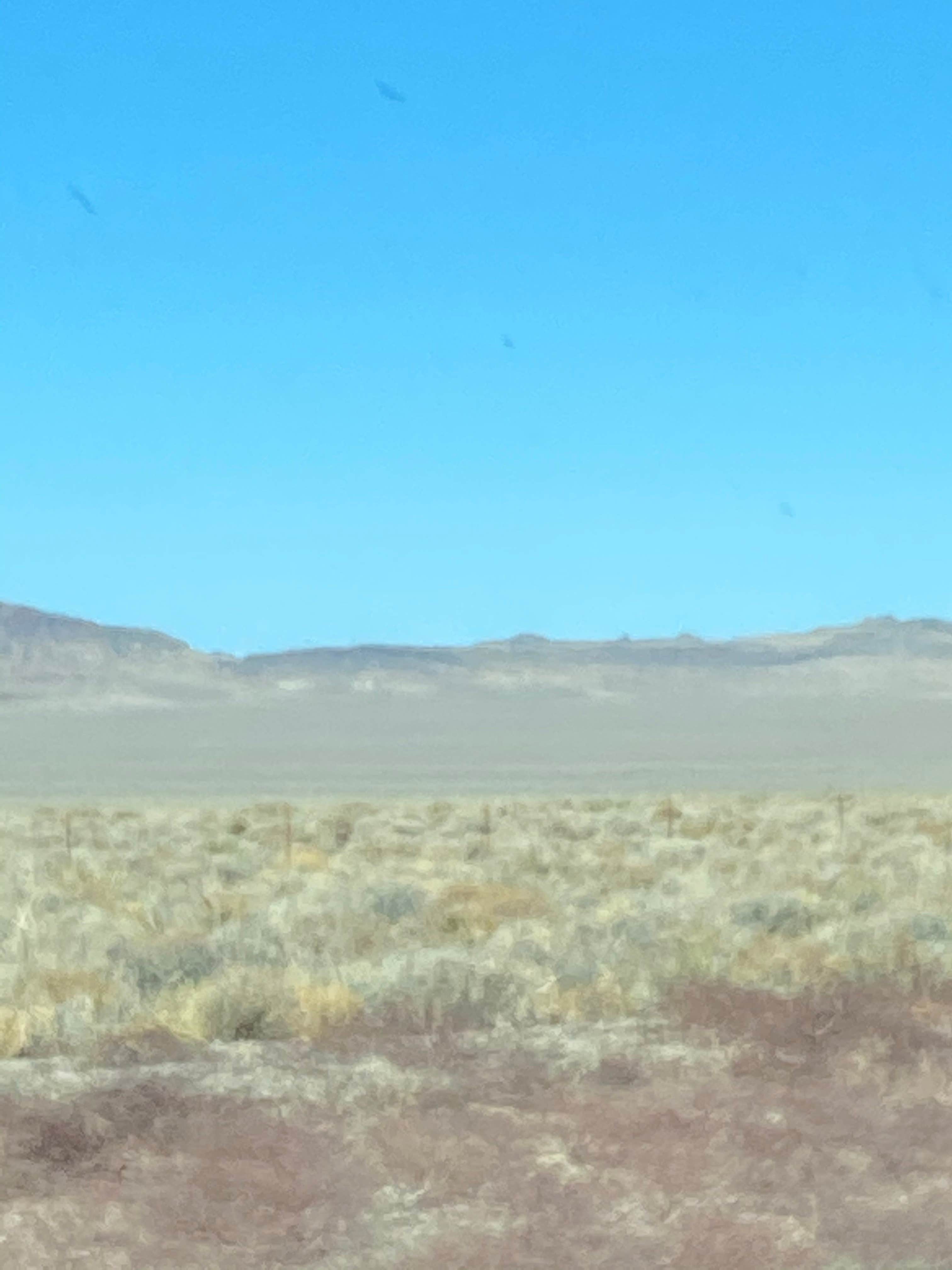 Camper-submitted photo at Chief Mountain South Campground near Panaca, NV