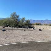 Review photo of Furnace Creek Campground — Death Valley National Park by Brittney  C., November 26, 2020