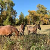 Review photo of Connor Battlefield State Historic Site by Judy T., November 26, 2020