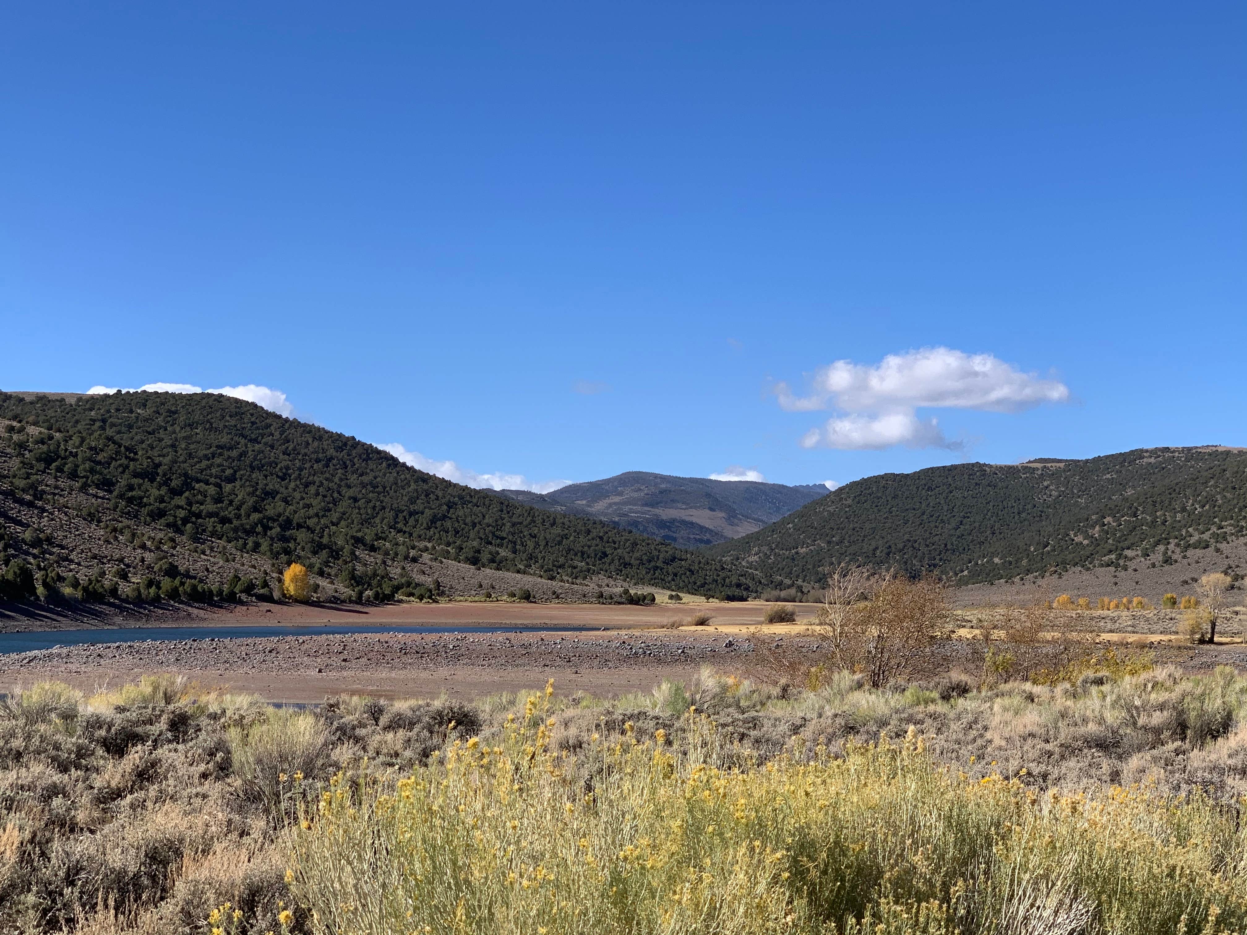 Camper submitted image from Forsyth Reservoir - 2