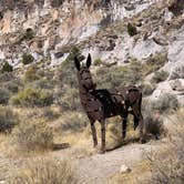 Review photo of Castle Rock Campground — Fremont Indian State Park by Judy T., November 26, 2020