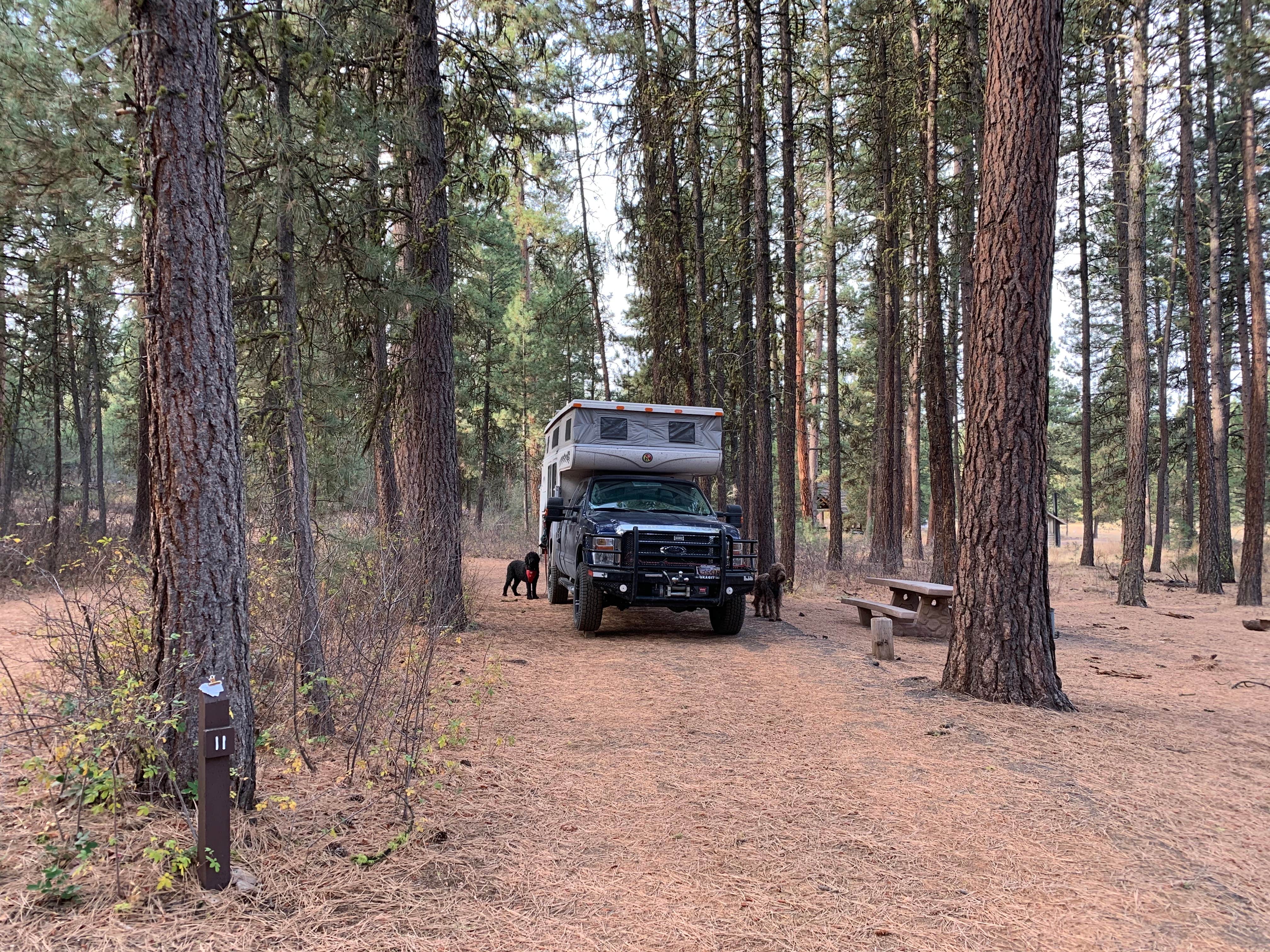 Camper-submitted photo at Idlewild Campground - Malheur near Hines, OR