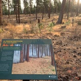 Review photo of Malheur National Forest Idlewild Campground by Judy T., November 26, 2020
