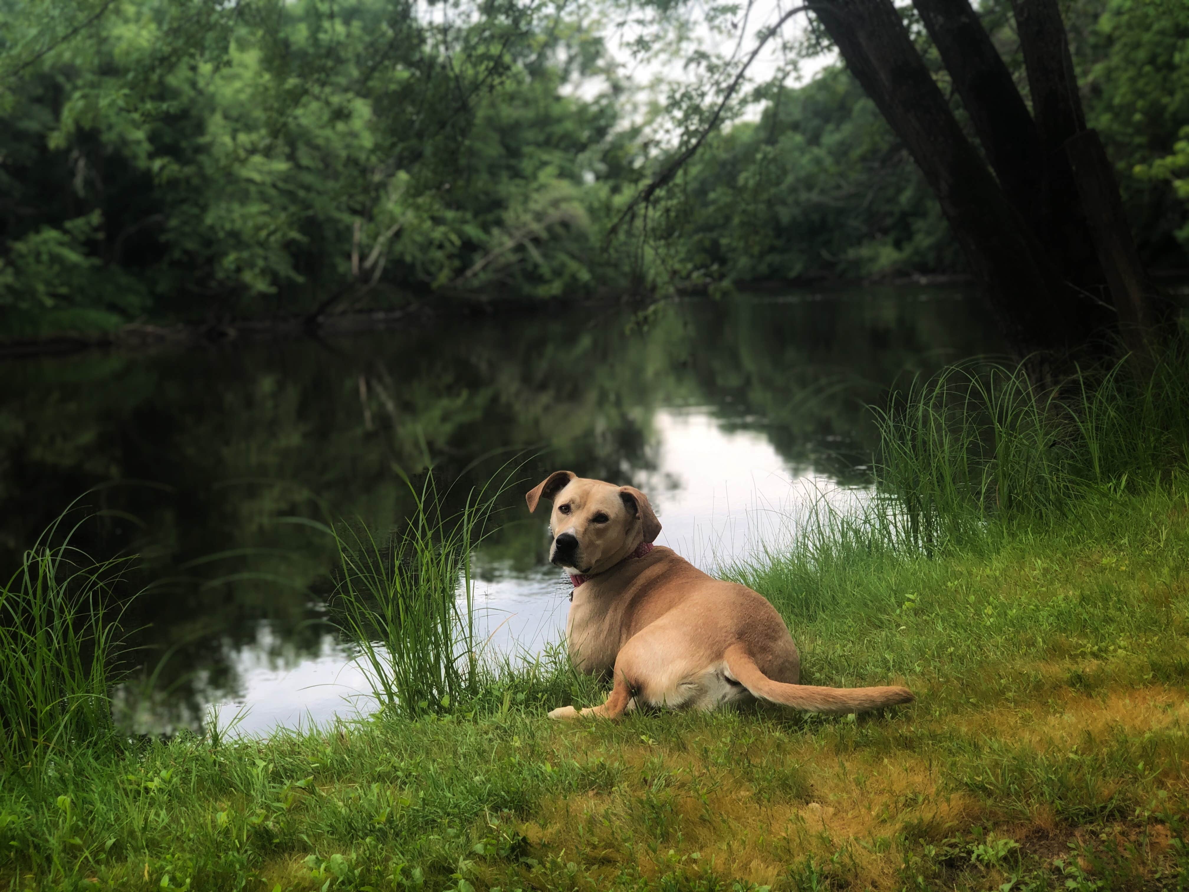 Camper-submitted photo at Country Camping Tent & RV Park on the Rum River near Grantsburg, WI