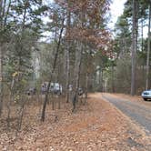 Review photo of Long Pool Recreation Area by Tom D., November 26, 2020