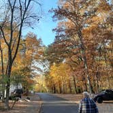 Review photo of Bull Run Regional Park by Roberta K., November 26, 2020