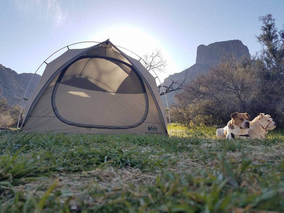Vanessa M.'s photo of camping with pets at Chisos Basin Campground (Big Bend, Tx) — Big Bend National Park near Terlingua, TX