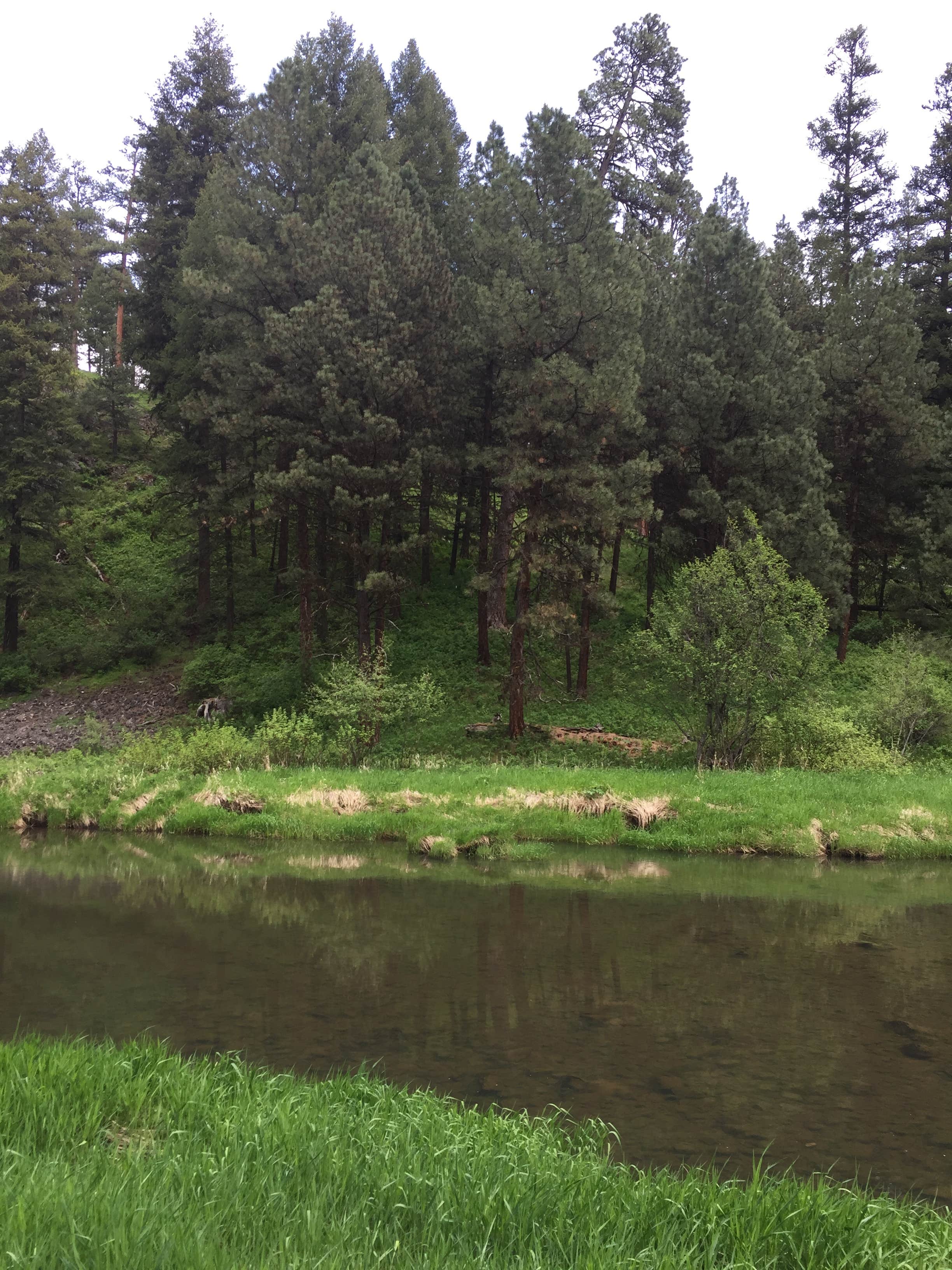 Camper submitted image from Ukiah-Dale Forest State Park and Campground - 2