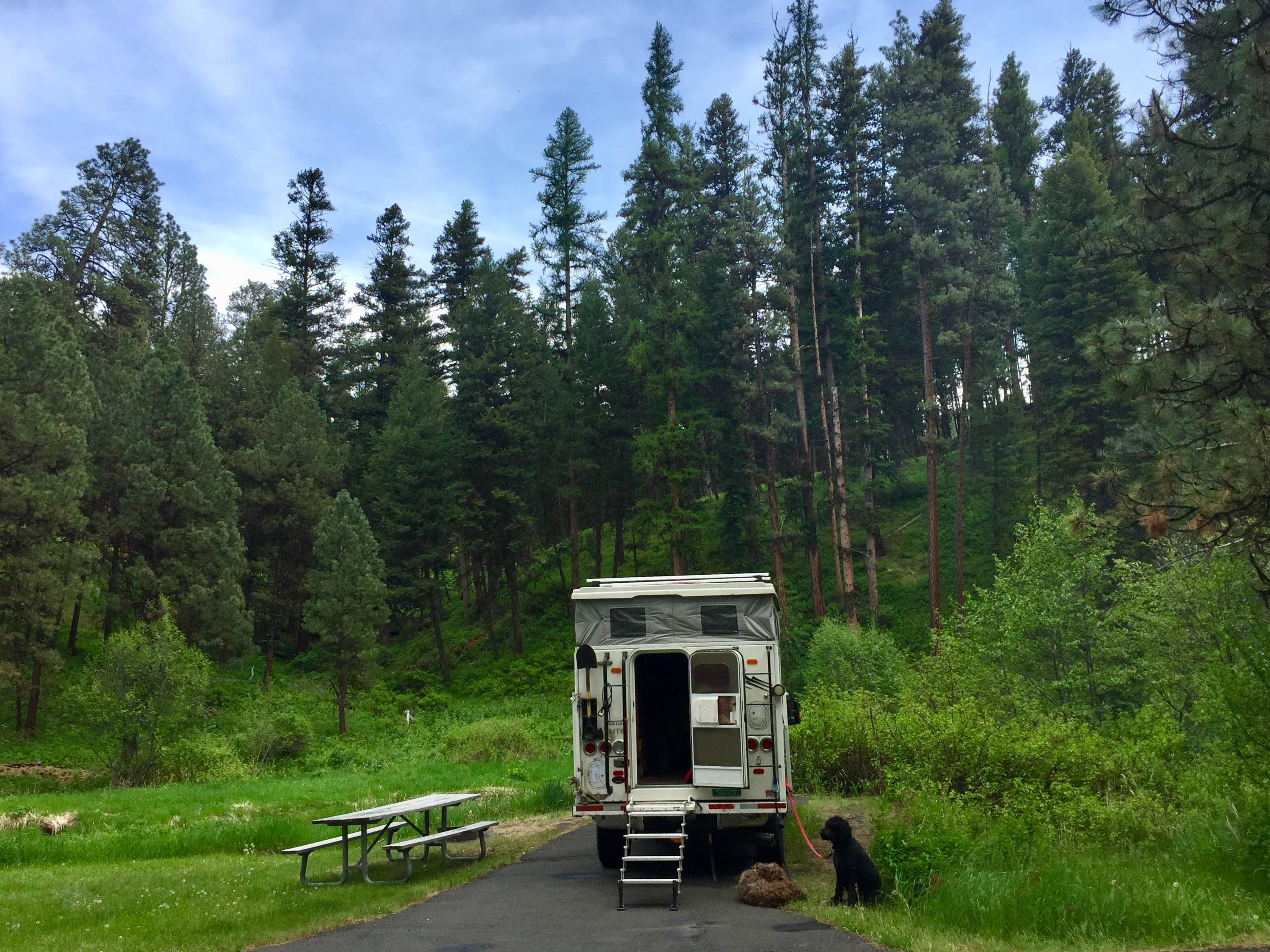Camper submitted image from Ukiah-Dale Forest State Park and Campground - 4